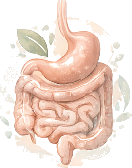 Dépistage & prévention